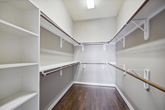 spacious closet featuring dark wood-type flooring