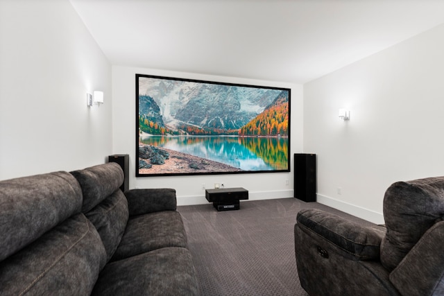 home theater with carpet flooring