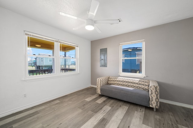 living area with electric panel, light hardwood / wood-style flooring, and ceiling fan