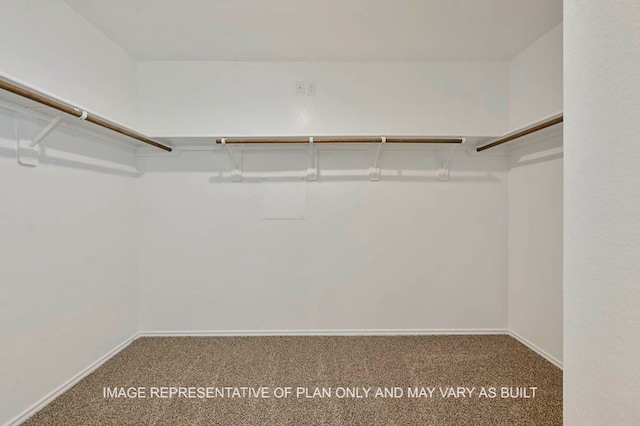 spacious closet featuring carpet floors