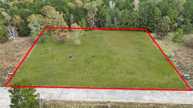 0 Park Ave, Livingston TX, 77351 land for sale