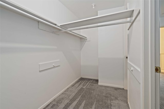 spacious closet with carpet