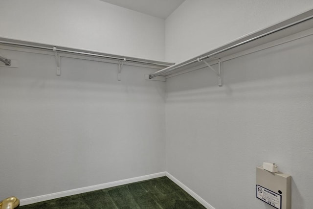 walk in closet with dark colored carpet