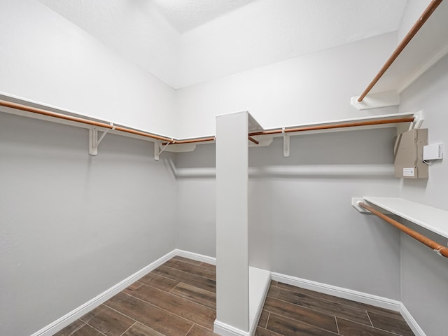 walk in closet featuring dark hardwood / wood-style flooring