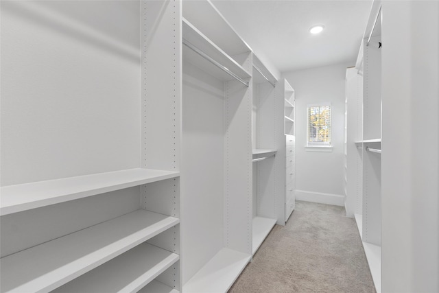 spacious closet with light colored carpet