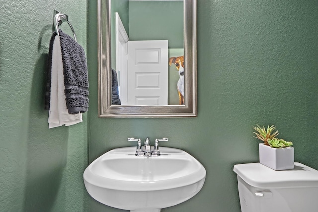 bathroom featuring sink and toilet