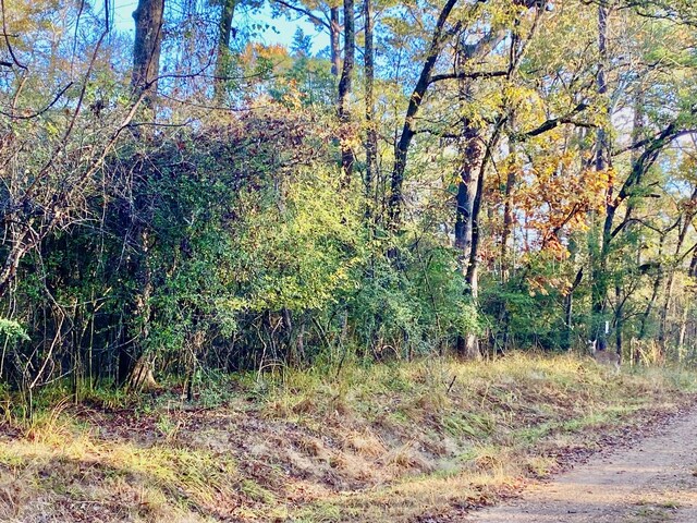 TBD Lakeview Cir, Crockett, TX 75835