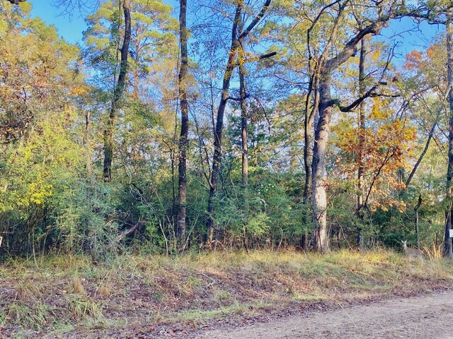 TBD Lakeview Cir, Crockett, TX 75835