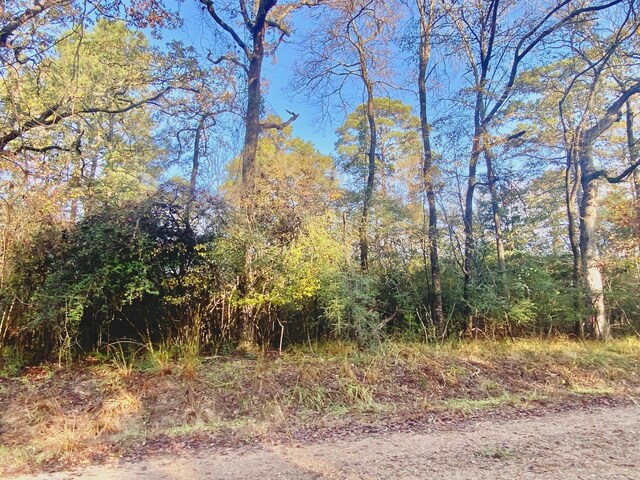 TBD Lakeview Cir, Crockett, TX 75835