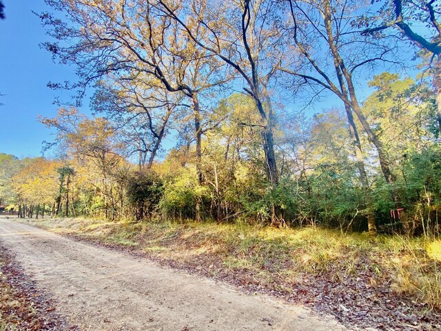 TBD Lakeview Cir, Crockett, TX 75835