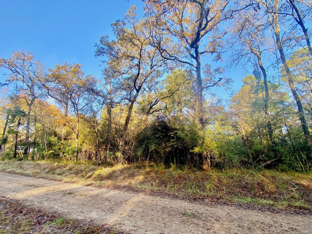 TBD Lakeview Cir, Crockett, TX 75835