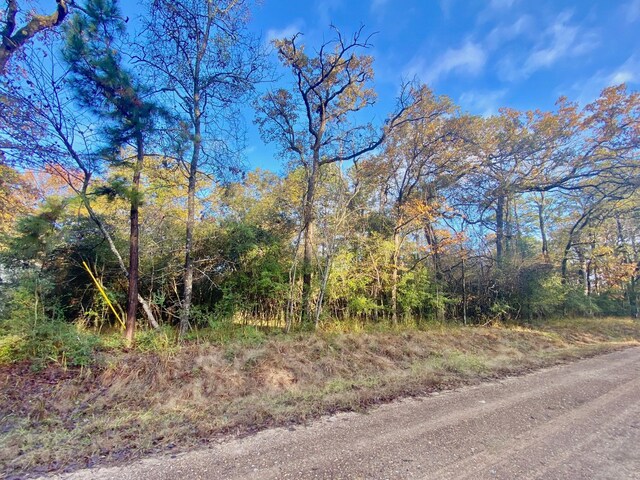 TBD Lakeview Cir, Crockett, TX 75835