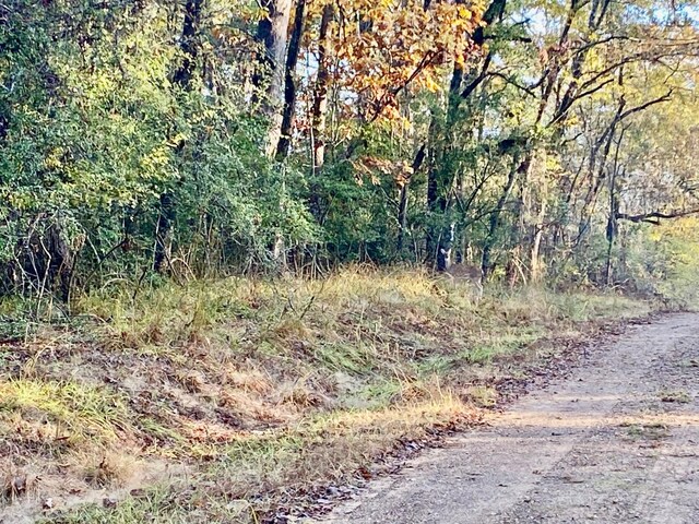TBD Lakeview Cir, Crockett, TX 75835