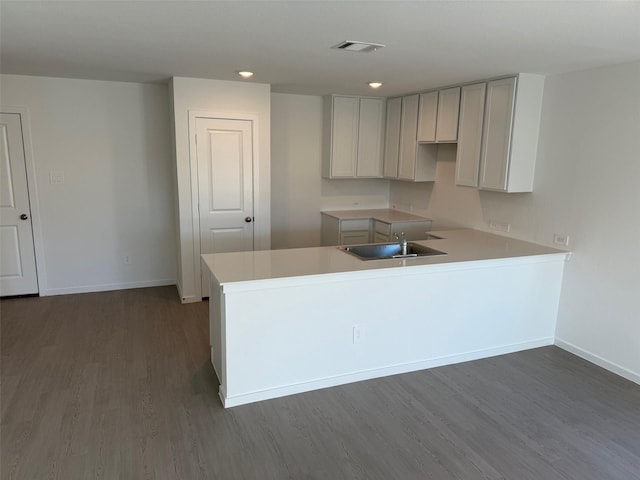 kitchen featuring kitchen peninsula, sink, and dark wood-type flooring