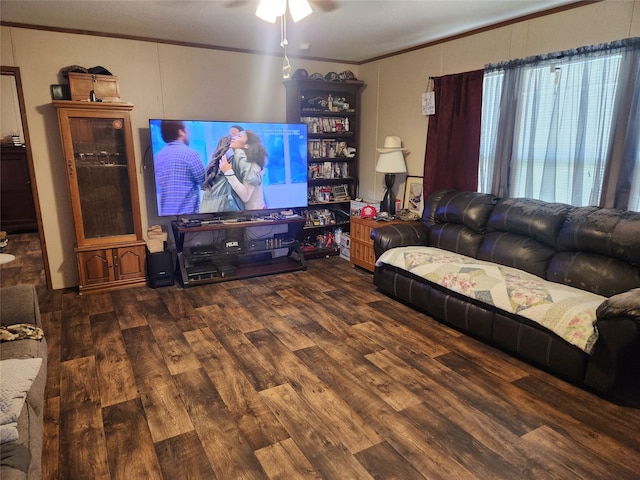 living room with ceiling fan, ornamental molding, and dark wood-type flooring