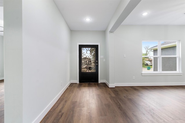 entryway featuring dark wood-type flooring