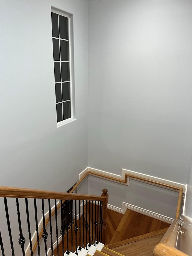 staircase with hardwood / wood-style flooring