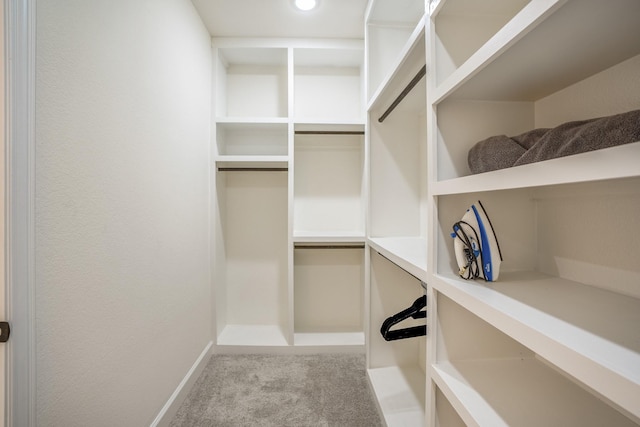 walk in closet with light colored carpet