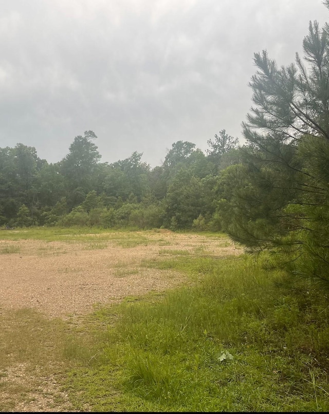 000 Towering Pnes, Livingston TX, 77351 land for sale