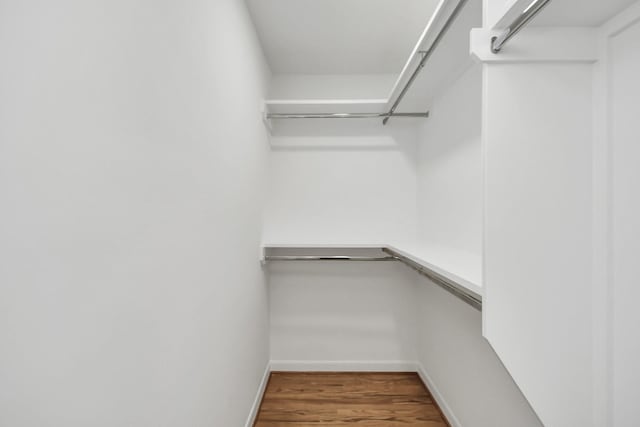 spacious closet featuring hardwood / wood-style floors