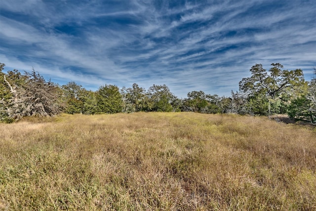 371 Fm 60 E, Somerville, TX 77879 - photo 4
