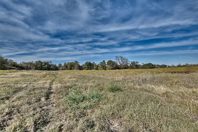 371 Fm 60 E, Somerville, TX 77879 - photo 5