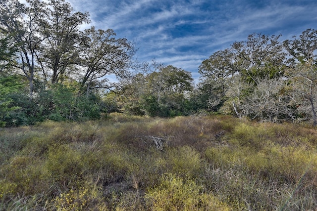 371 Fm 60 E, Somerville, TX 77879 - photo 6