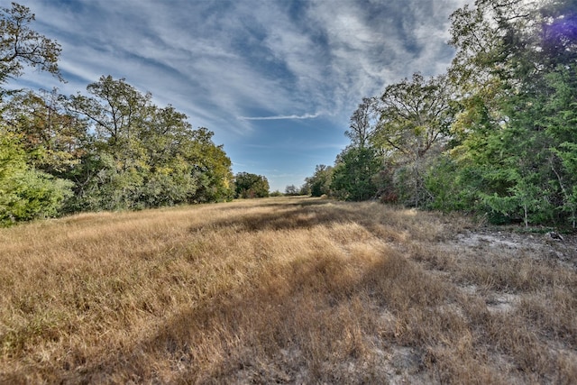 371 Fm 60 E, Somerville, TX 77879 - photo 7