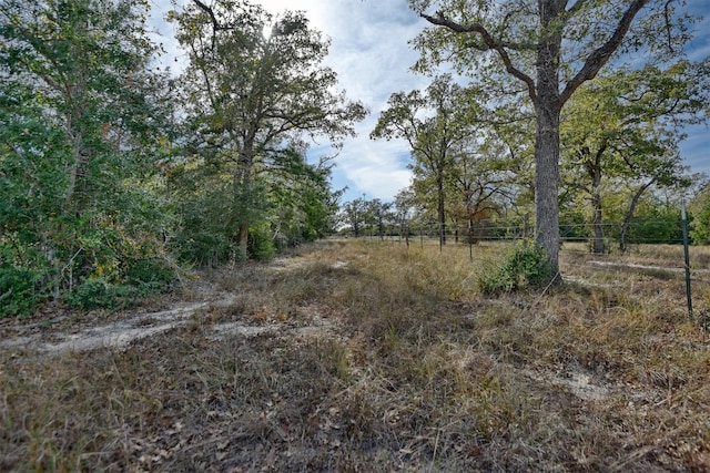 371 Fm 60 E, Somerville, TX 77879 - photo 8