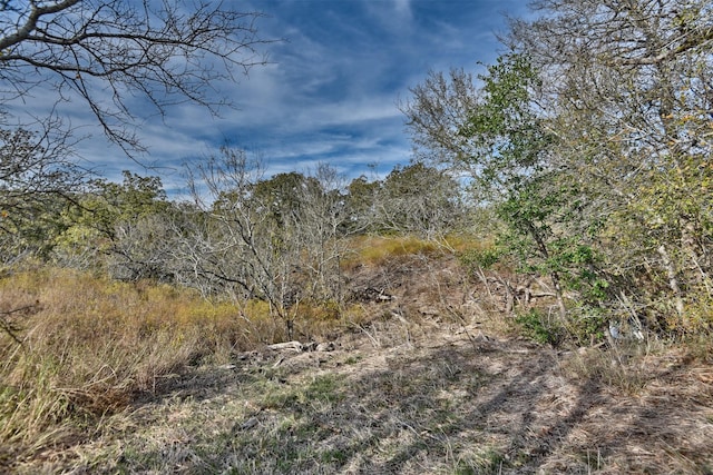 371 Fm 60 E, Somerville, TX 77879 - photo 12
