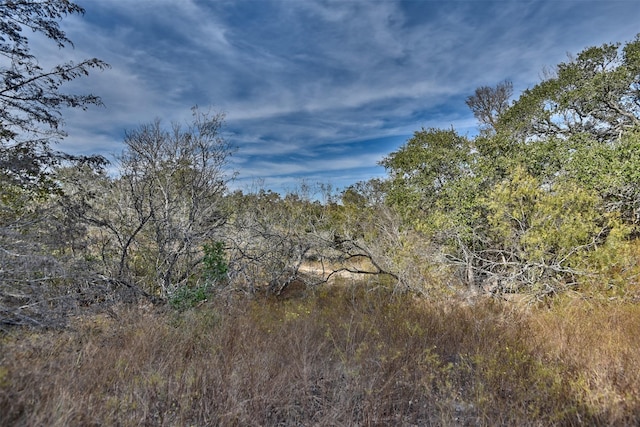 371 Fm 60 E, Somerville, TX 77879 - photo 10