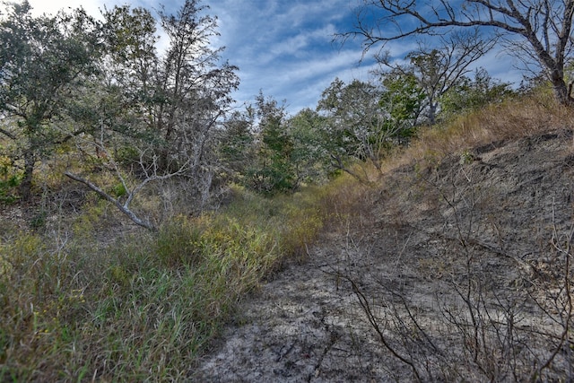 371 Fm 60 E, Somerville, TX 77879 - photo 11
