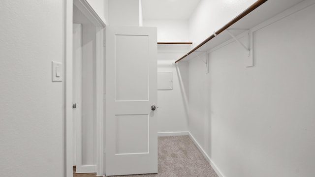 spacious closet with light colored carpet