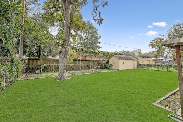 view of yard featuring a storage unit