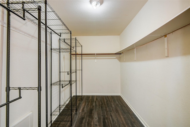 walk in closet with dark wood-type flooring