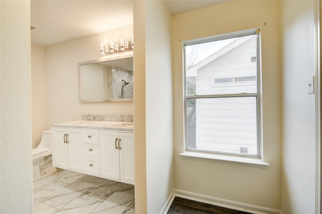 bathroom featuring vanity, toilet, and plenty of natural light