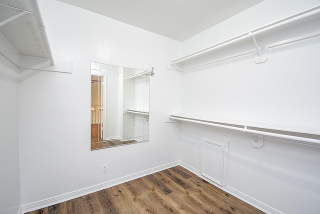 spacious closet with dark hardwood / wood-style flooring