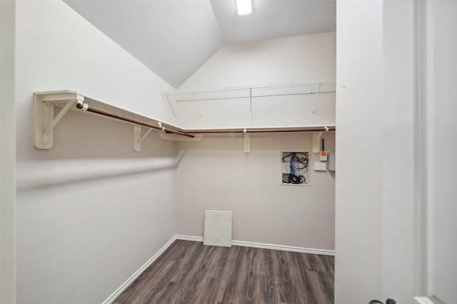 spacious closet featuring dark hardwood / wood-style flooring and lofted ceiling