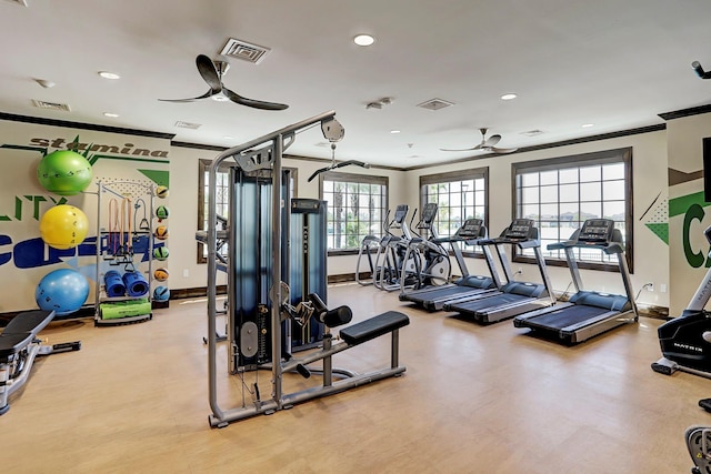 gym featuring ceiling fan and ornamental molding