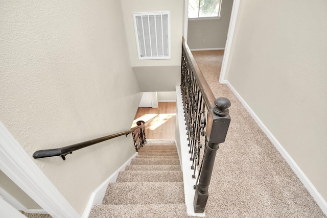 stairway with carpet flooring