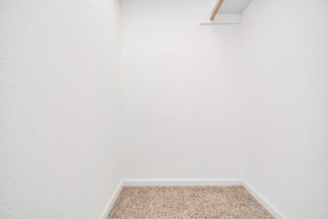 spacious closet featuring carpet