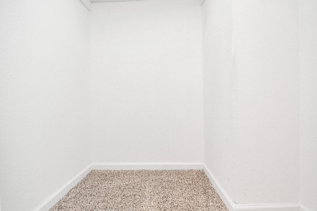 spacious closet featuring carpet