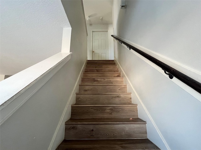 staircase featuring wood-type flooring