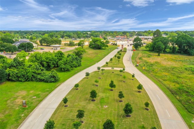 aerial view