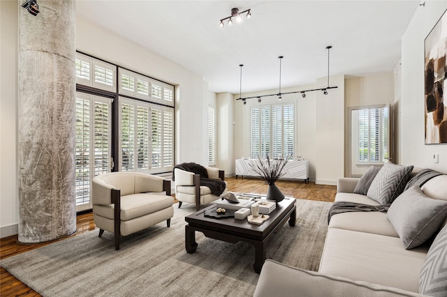 living room with light wood-type flooring, rail lighting, and plenty of natural light