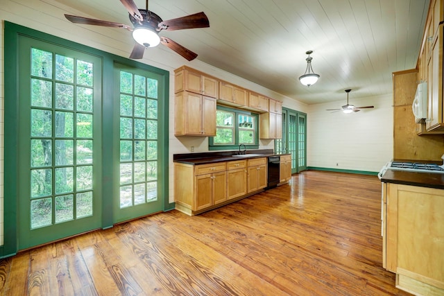 kitchen featuring pendant lighting, dishwasher, sink, light wood-type flooring, and range