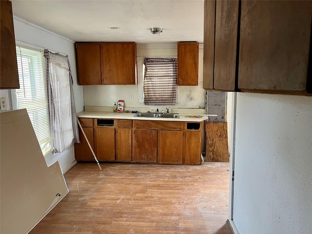 kitchen featuring light wood-type flooring and sink