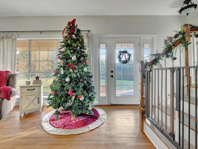 foyer entrance with hardwood / wood-style floors