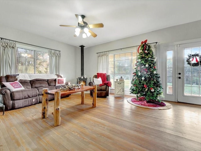 living room featuring light hardwood / wood-style floors, a healthy amount of sunlight, and a wood stove