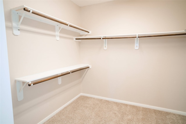 walk in closet featuring carpet floors